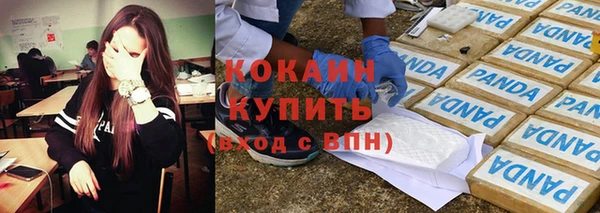 крисы Абаза
