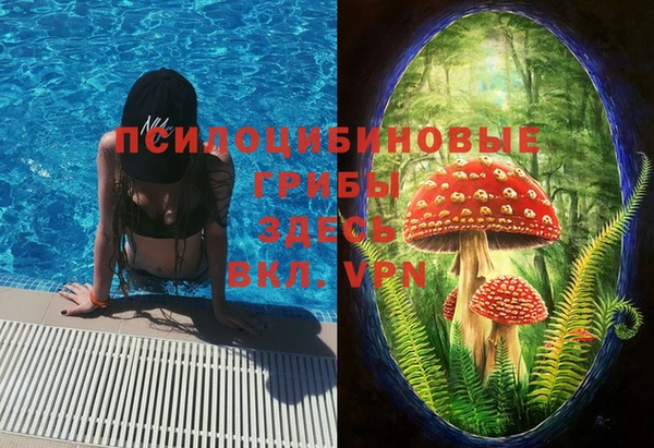 стафф Алексеевка