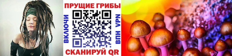 Псилоцибиновые грибы ЛСД Зверево